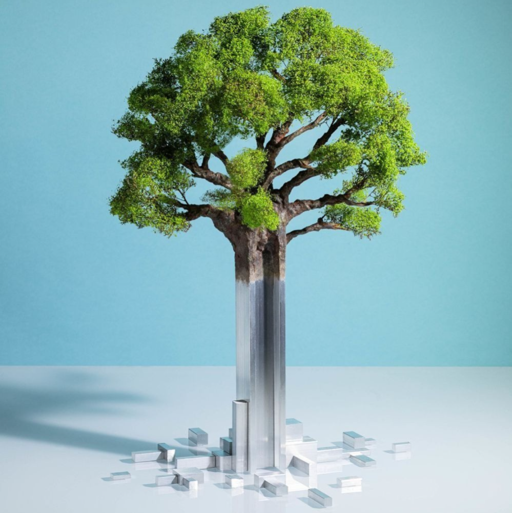 154797bc08029d17f83b711dabc6a900